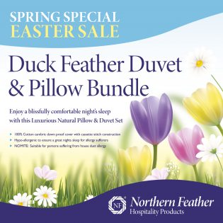Spring Sale Duvet Pillow set